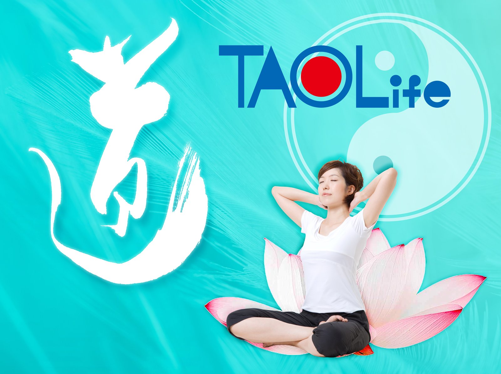 TAOLife 気の導引術